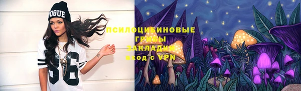 герыч Гусь-Хрустальный