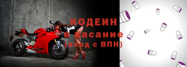прущие крисы Ельня