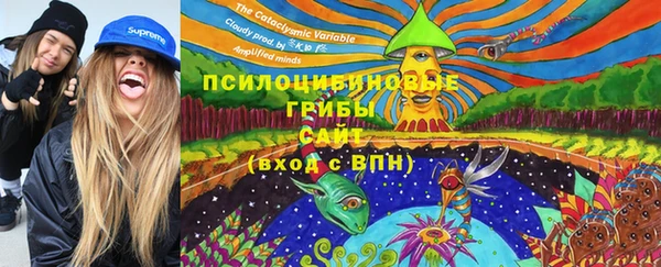 спиды Дмитровск
