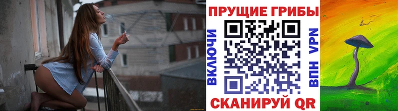 Купить  Межгорье  Псилоцибиновые грибы прущие грибы 